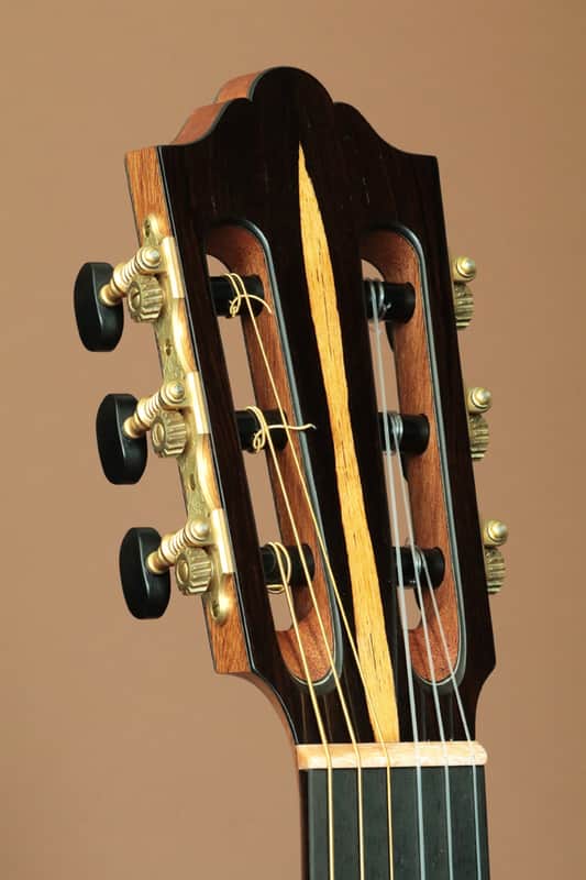 Ryosuke Kobayashi Guitars Nylon Crossover Electric Cocobolo | Reverb