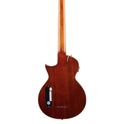 ESP LTD TL-5 Thinline 5-String Acoustic Electric Bass Guitar Natural image 5