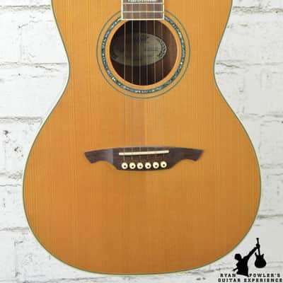 Wechter NV-5413 Nashville Acoustic Guitar w/ OHSC image 1