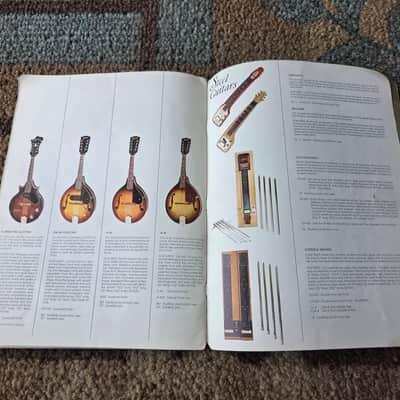 Vintage 1966 Gibson Full-Line Full-Color Catalog! Rare, Original Case Candy, Paperwork! image 20