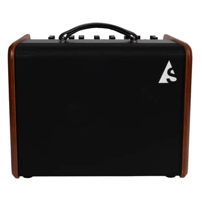 Godin Acoustic Solutions ASG-8 Wood Acoustic Combo image 1