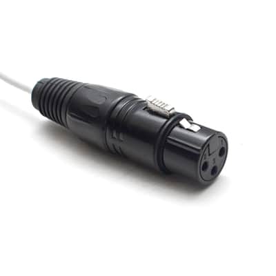 DB25 - 8 Channel XLR Female 5 Foot D-Sub Snake Cable Patch Bay Interface Modular image 3