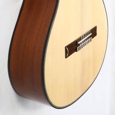 Agile Renaissance 6 String Fretless 625 Classical EQ CUT Classical Acoustic / Electric Guitar image 5