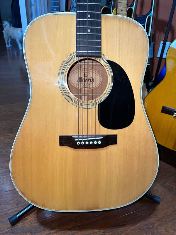 Vintage Morris - W-18 - Dreadnought Acoustic - Japan image 1