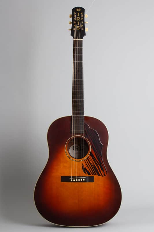 Iris  DF Flat Top Acoustic Guitar, ser. #268, black tolex hard shell case. image 1