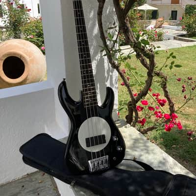 Fleabass The Wild One Model 30 Flea Bass Black / White image 1