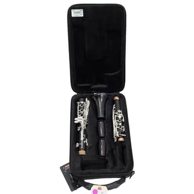 Backun 'Lumiere' Custom Grenadilla Clarinet in Bb SN 829 OPEN BOX image 1