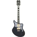 D'Angelico PREMIER BEDFORD DAPBEDBWMSTCTR Bob Weir Signature, Matte Stone