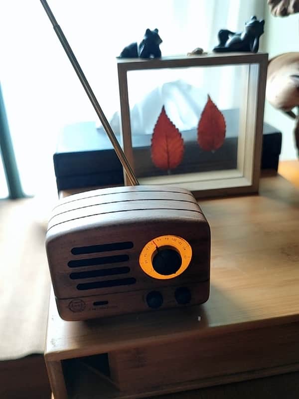 Elvis Wooden small speaker 1990 Brown image 1