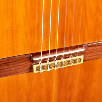 Yamaha GD-10 Grand Concert Classical Guitar, Solid Spruce, IRW image 5
