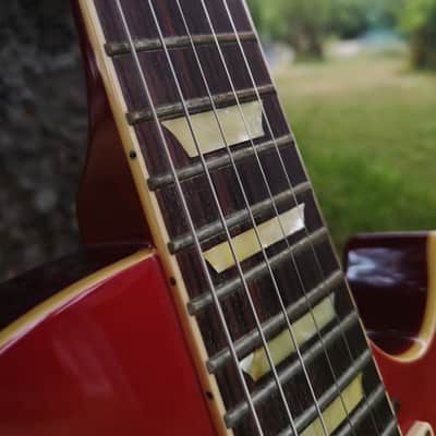 Tokai LS 60 Love Rock - MIJ 1981 - Vintage Sunburst - With OHSC image 15