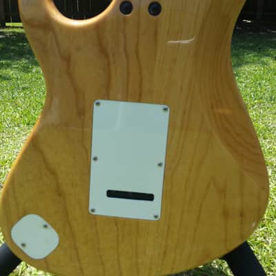 Very Rare_Cort G260 Swamp Ash Body with Hot Rails Pickups, 5-Way Switch, Coil Split & New Gig bag image 7