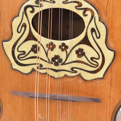 1900s Glaesel Vienna Mandolin for English market image 4