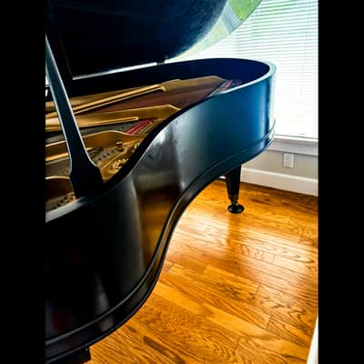 Legendary Craftsmanship: Mason & Hamlin Model A Grand Piano image 4
