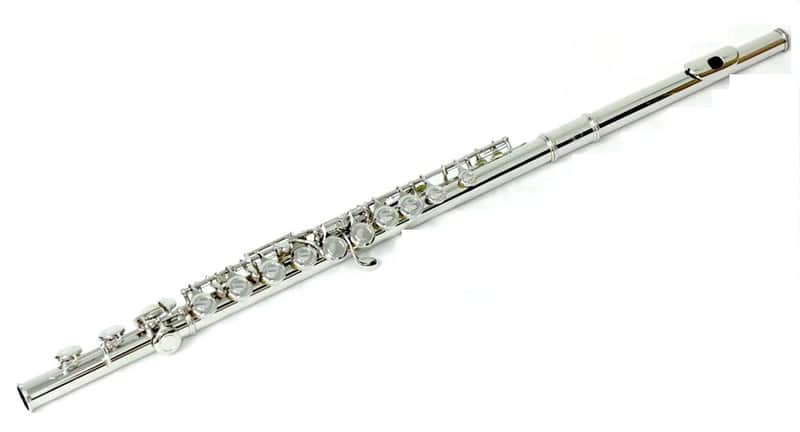 Nickel Closed Hole Flute w Black Case/Shoulder Strap/Handle/Pocket image 1