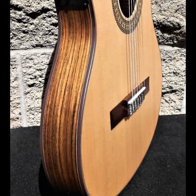 Tagima Classical Electric Guitar One CSS Satin image 7