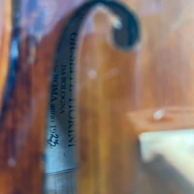 Giuseppe Fiorini Da Bologna Fece in Roma Italian Labeled Violin image 17