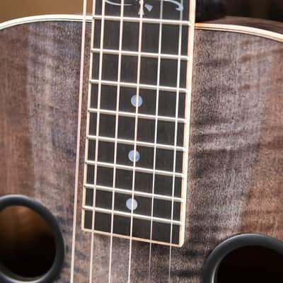 Beard Legacy-E HipShot DoubleShot Square Neck Resonator Guitar - Black Ice 2-Tone Custom Horse Chestnut with Hardshell Case image 10
