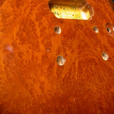 Complete to Suit: Till Guitars Redwood Burl Boutique Thinline Handmade in California image 2