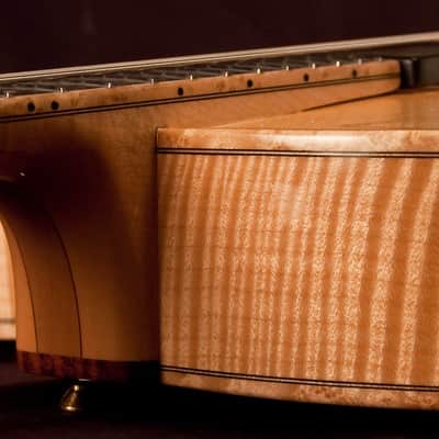 Buscarino Custom Artisan (2010) image 16