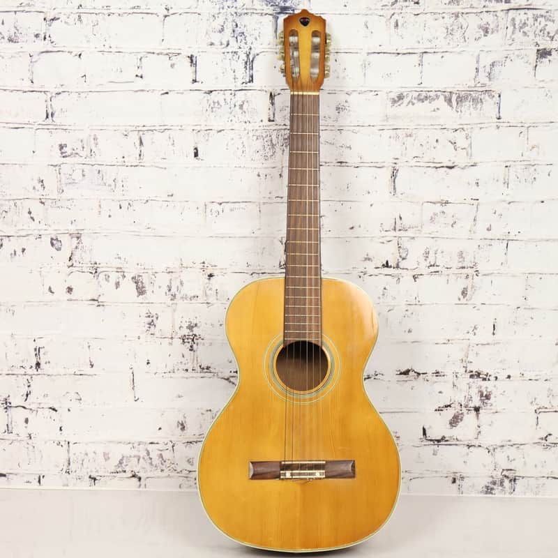 Tempo Classical Guitar w/Hard Case *PROJECT* image 1