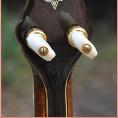 Vega Vegavox IV Deluxe Tenor Banjo 1931 - EXC Plus image 9