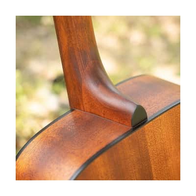 Cort Standard AD810-OP Drednought Spruce Top Mah B&S Open Pore image 8