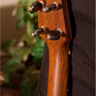 Roosebeck UBTVG Tenor Baroq-ulele Variegated w/Tuners & Gig Bag image 11