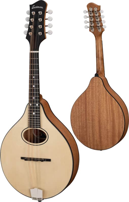 Eastman PCH-M104-NAT Flat-top A-Style Mandolin, Natural image 1