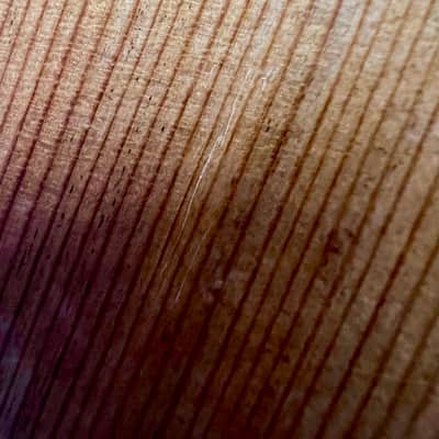 Alhambra 7P 50th Anniversary Rosewood - high gloss image 12