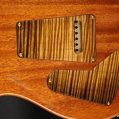 PRS Private Stock Special 22 Semi-Hollow in Tiger Eye Glow PS#10490 image 7
