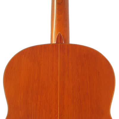Manuel de la Chica 1957 - lightweight classical guitar with gorgeous sound - style of Santos Hernandez/Marcelo Barbero + Video! image 11