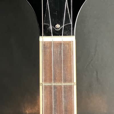 Recording King RK-R20 Songster 5-String Bluegrass Banjo image 9