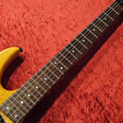 HAMER USA Diablo GDBS-B-N [GSB019] image 7