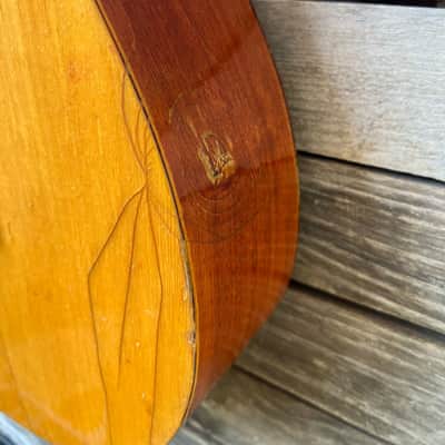 Folk Acoustic Guitar Clarissa Polverini Eko FiestaP1 P2 P10 image 3
