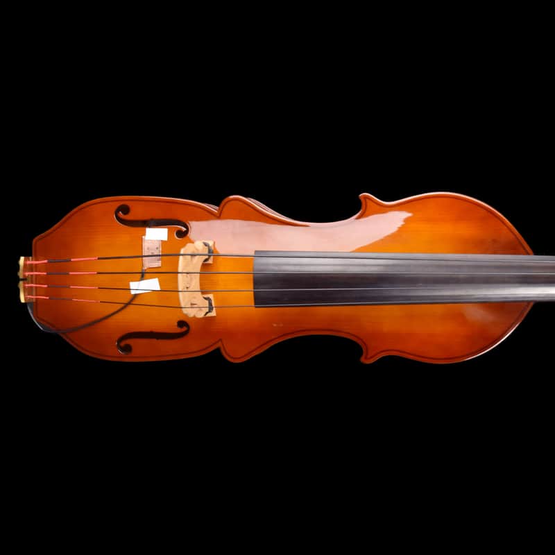 Eminence RN4 Electric Upright Bass - Sunburst image 1