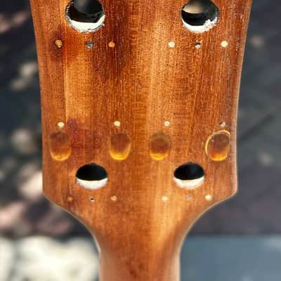 Immagine Gibson SG EB-0 1961 - 1968 - Cherry Husk Project Repair - 5