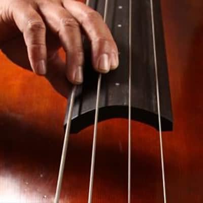 Spectrasonics Trilian Bass Module Virtual Instrument(New) image 3