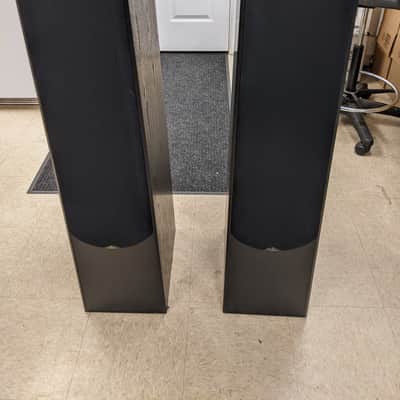 Sound Dynamics RTS-P100 Floor Standing Speakers (Black) image 1