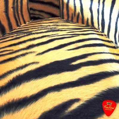 Vintage Tiger Print Plush Hardshell Case for Acoustic ¾-sized Parlor Guitar image 2