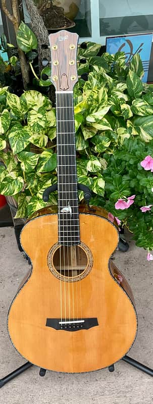 Williams Kiwi 2005 - Taraire/Kauri Acoustic Guitar w/ Original Case -Very Rare! image 1
