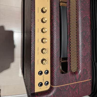 Marshall Studio Vintage SV20C "MK II" 20-Watt 1x10" Guitar Combo 2020 - Present - Snakeskin image 6