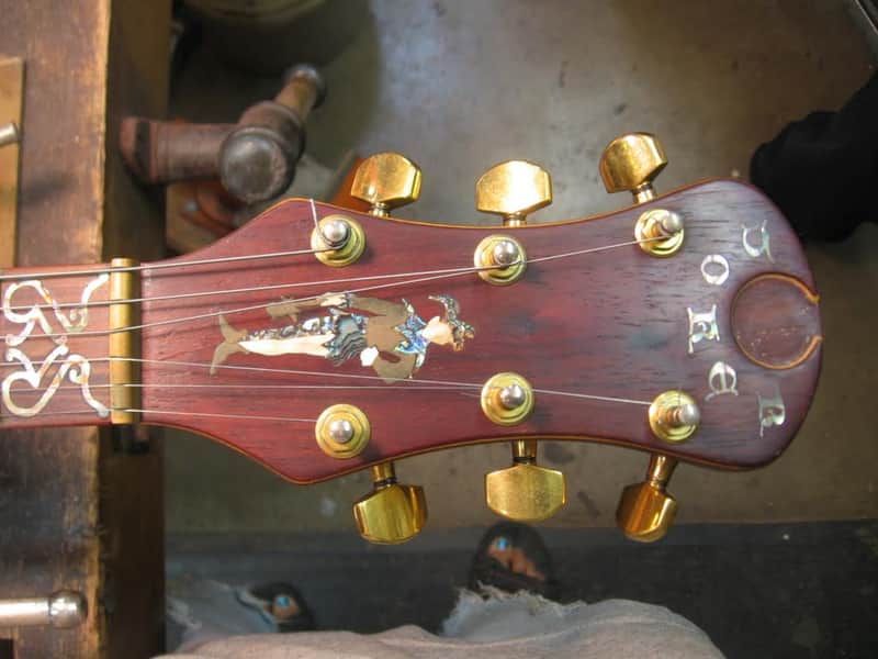 The Joker.THE Guitar! image 1