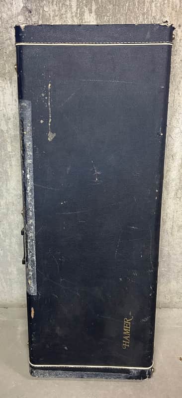 Vintage Hamer Standard Case image 1