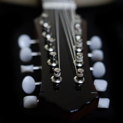 Junio Americo 10-String Mandolin | Brazil image 9