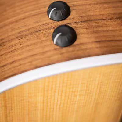 Taylor 214ce Grand Auditorium Acoustic/Electric Guitar with Gig Bag image 13