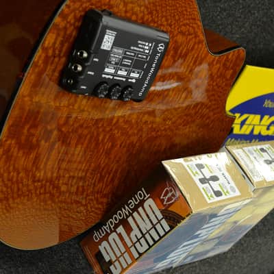 HONZ Tech ToneWood Amp for Acoustic Guitar image 8