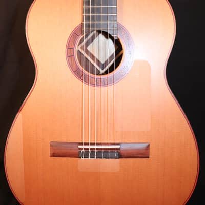 Duane Waterman Custom Concert Guitar 2013 Western Cedar image 2