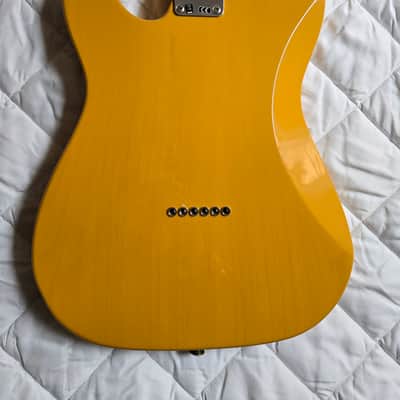 Fender Player Plus Nashville Telecaster with Maple Fretboard 2021 - Present - Butterscotch Blonde image 2