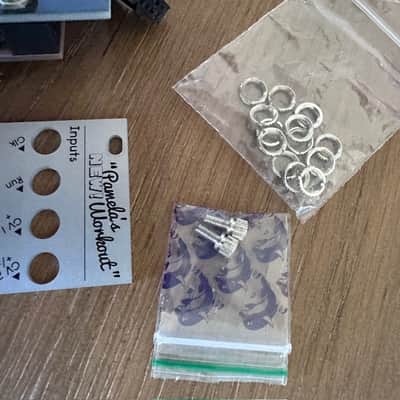 Black & Gold + Silver Pamela's NEW workout Eurorack classic ! image 7
